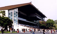 高知競馬場