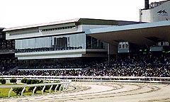 名古屋競馬場