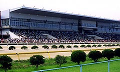 佐賀競馬場