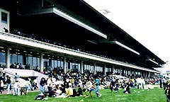 札幌競馬場