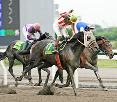 優勝馬:ボンネビルレコード