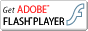 Adobe FlashPlayer