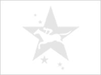 ラストチャンピオン