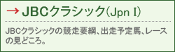 JBCNVbNiJpn Ij JBCNVbN̋vjAo\nA[X̌ǂB