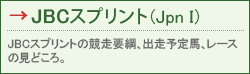 JBCXvgiJpn Ij JBCXvg̋vjAo\nA[X̌ǂB