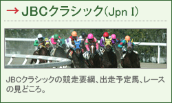 JBCNVbNiJpn Ij JBCNVbN̋vjAo\nA[X̌ǂB