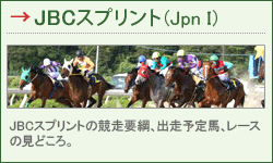JBCXvgiJpn Ij JBCXvg̋vjAo\nA[X̌ǂB