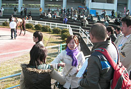2008N@obN[hcA[
