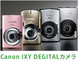 BOTTEGAVENETAの財布