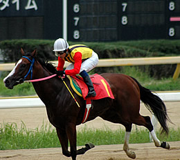 優勝馬:ヴァンクルタテヤマ