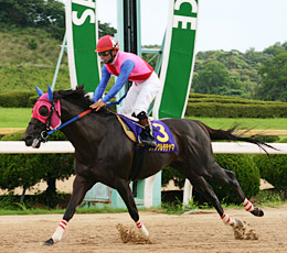 優勝馬:ヴァンクルタテヤマ