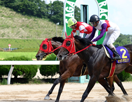 優勝馬:スペシャリスト