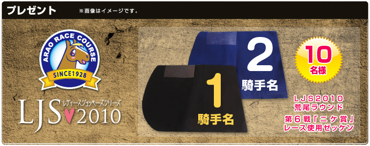 LJS2010rEh@6ujP܁v[Xgp[bP 10l
