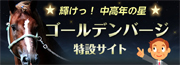 S[fo[W݃TCg
