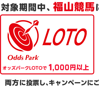 RnɃIbYp[NLOTO1,000~ȏ