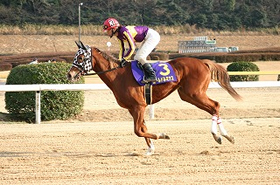 ゴールドルミナス