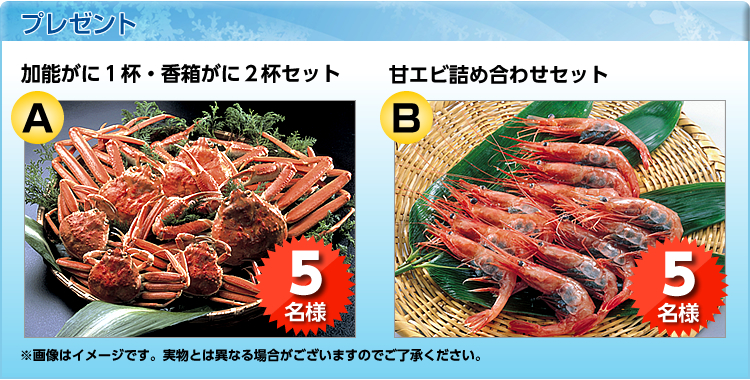 \ɂPtEɂQtZbg 5lAÃGrlߍ킹Zbg@5l