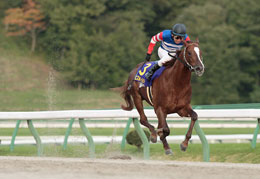 優勝馬:エスポワールシチー