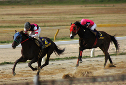 2009N t@I@刢hܓTI[v