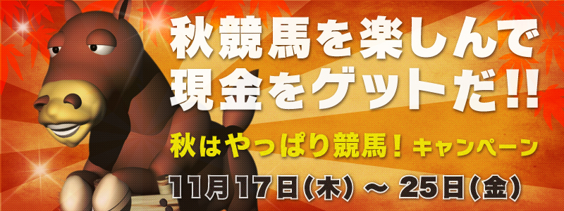 HnyŌQbgIIH͂ς苣nILy[ 1117i؁j`25ij