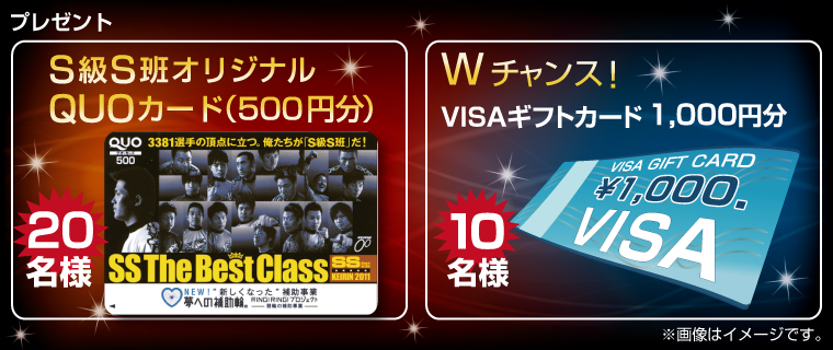 SSǃIWiQUOJ[hi500~j20l yW`XzVISAMtgJ[hi1,000~j10l