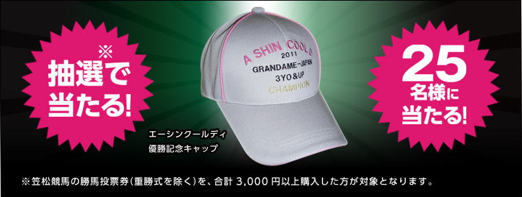 IœI25lɓIG[VN[fBDLOLbv }n̏n[idjAv3,000~ȏwΏۂƂȂ܂B