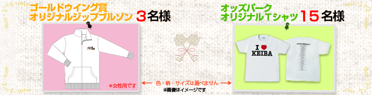 S[hEBO܃IWiWbvu]ipj3lAIbYp[NIWiTVc15l@摜̓C[WłB FEETCY͑Iׂ܂