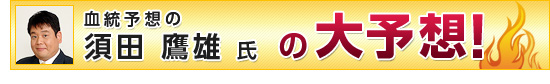 {cY̑\zI
