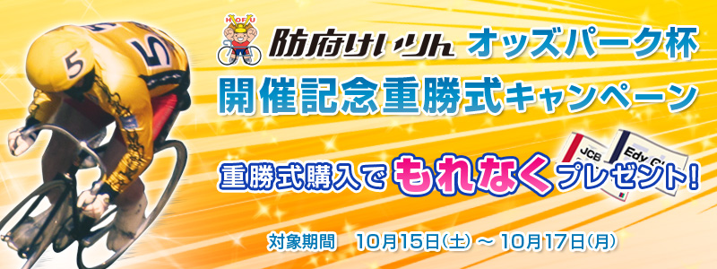 h{ց@IbYp[NtJËLOdLy[@dwłȂv[gI Ώۊԁ@1015iyj`1017ij