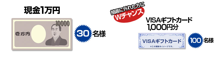 1~ 30l@IɊOꂽW`X@VISAMtgJ[h1,000~ 100l