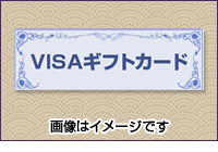 VISAMtgJ[hi1,000~j@摜̓C[Wł