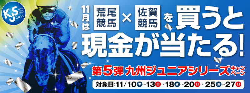 11͍rn×ꋣn𔃂ƌI5eBWjAV[YLy[@ΏۓF1110i؁j`13ijA18ij`20ijA25ij`27ij