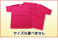 Rn@IWiTVci1j@TCY͑Iׂ܂