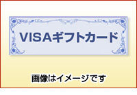 VISAMtgJ[hi1,000~j@摜̓C[Wł