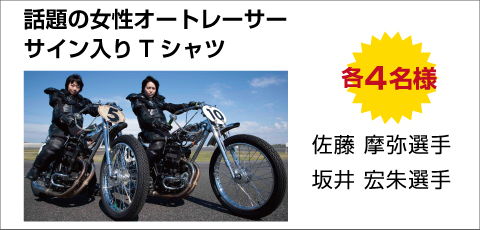 b̏I[g[T[TCTVc e4l  I  GI
