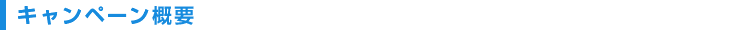 キャンペーン概要