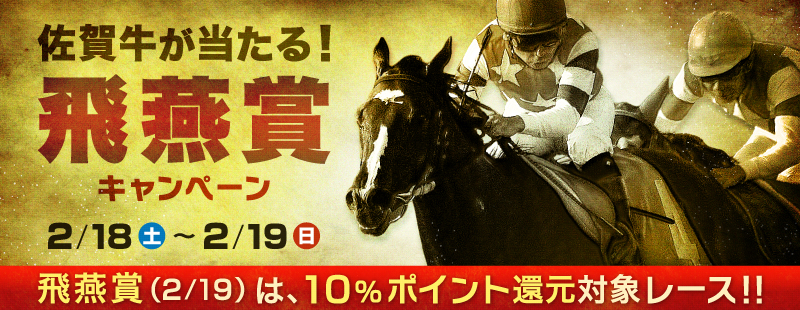 ꋍI򉍏܃Ly[@Ώۊԁ@2012N218iyj`19ij@򉍏(2/19)́A10|CgҌΏۃ[XII