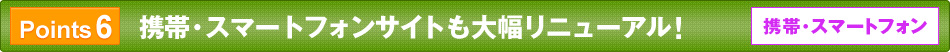 Point6 gсEX}[gtHTCg啝j[AI@gсEX}[gtH