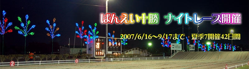 ΂񂦂\ iCg[XJ