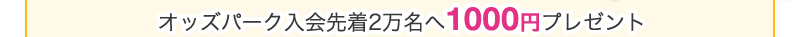 IbYp[NҐ撅21000~v[g