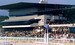 福山競馬場