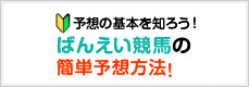 初心者でもOK!ばんえい競馬(帯広競馬場)の馬券買い方&簡単予想方法